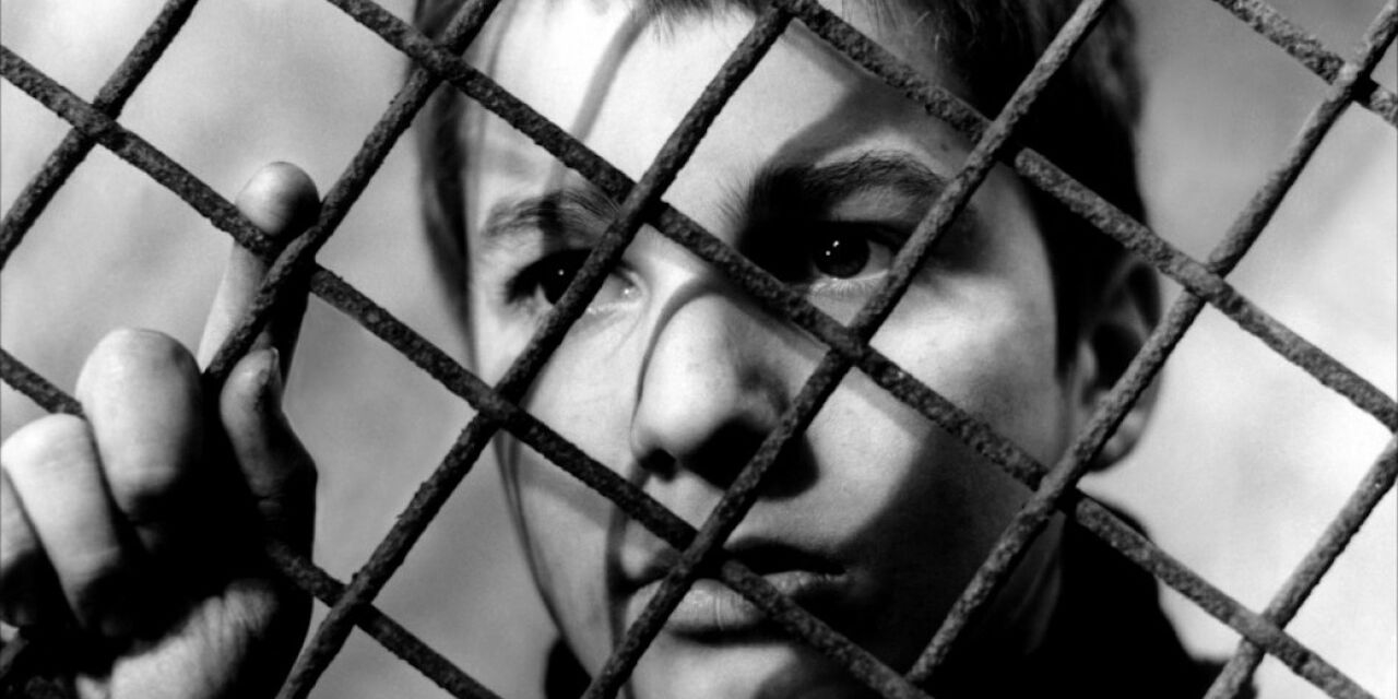 Banner Phim 400 Cú Đấm (The 400 Blows)