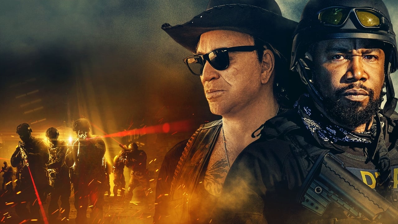Banner Phim Biệt Kích (The Commando)