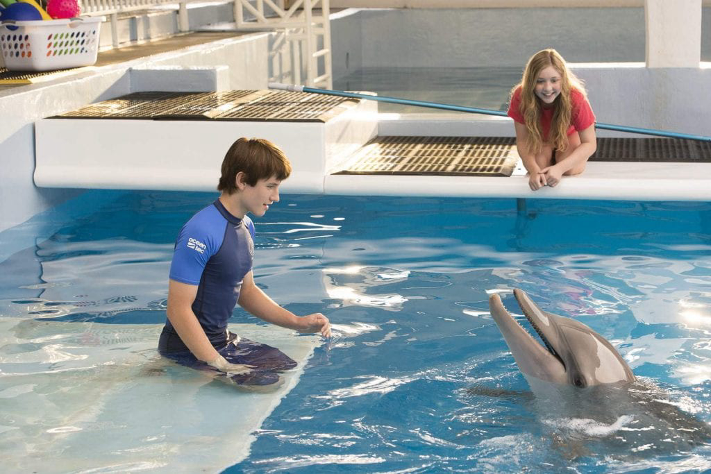 Banner Phim Câu Chuyện Cá Heo (Dolphin Tale)