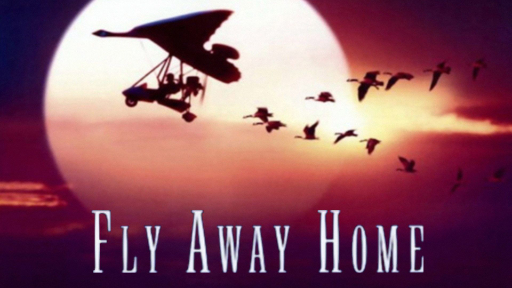 Banner Phim CHẮP CÁNH BAY XA (Fly Away Home)