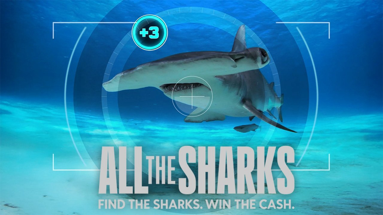 Banner Phim Đi tìm cá mập (All the Sharks)