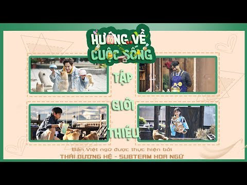 Banner Phim Hướng Về Cuộc Sống (mùa 3) (Hướng Về Cuộc Sống (mùa 3))