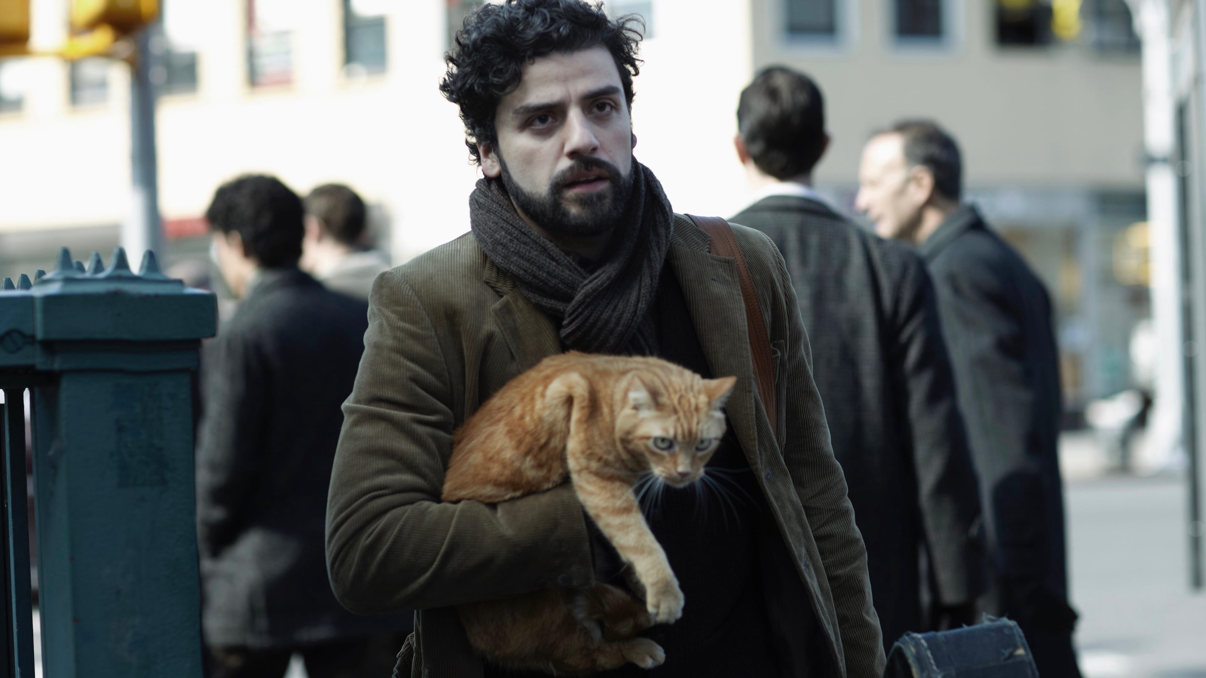 Banner Phim Inside Llewyn Davis (Inside Llewyn Davis)
