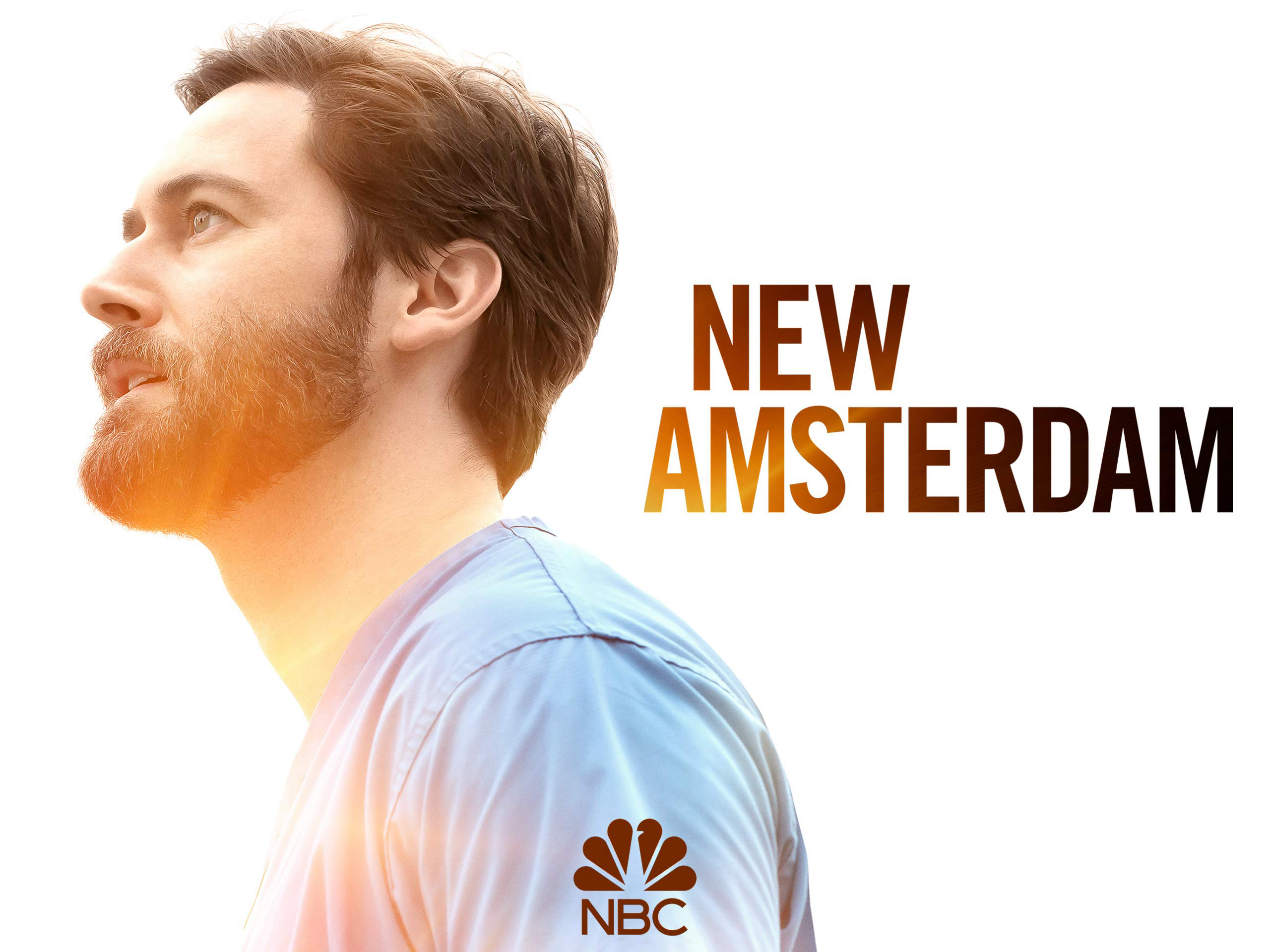 Banner Phim New Amsterdam (Phần 3) (New Amsterdam (Season 3))