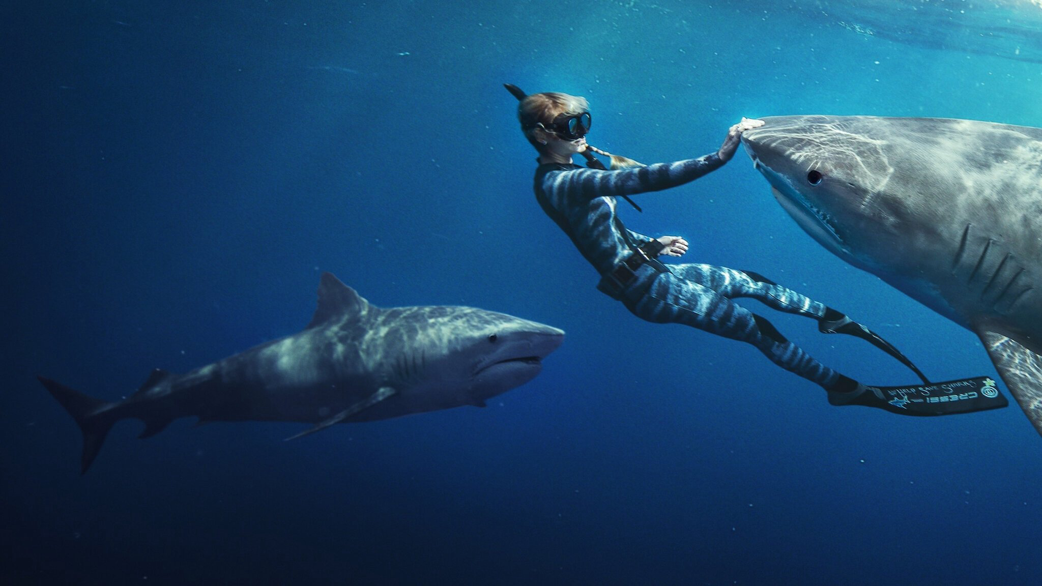 Banner Phim Người bạn của cá mập (Shark Whisperer)