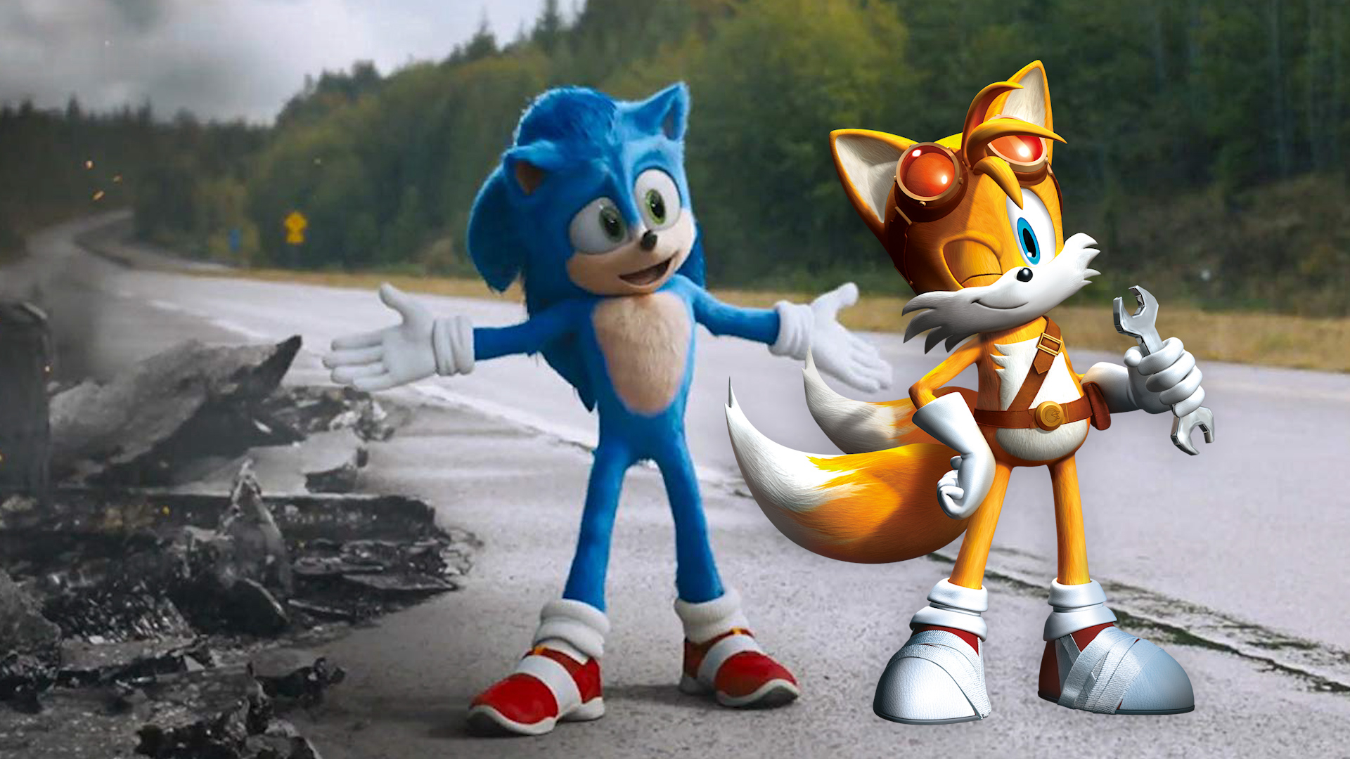 Banner Phim Nhím Sonic (Sonic The Hedgehog)