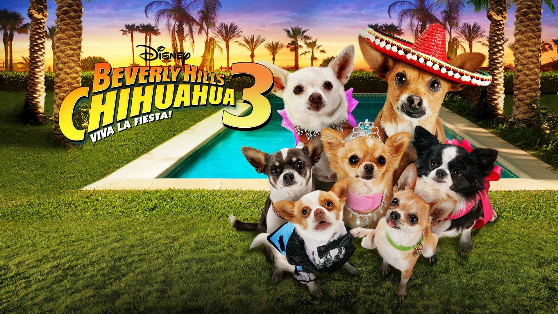 Banner Phim Những Chú Chó Chihuahua 3 (Beverly Hills Chihuahua 3: Viva la Fiesta!)