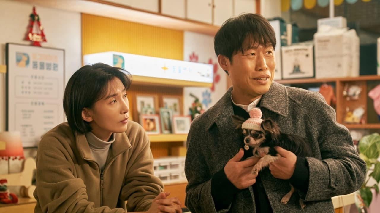 Xem Phim SEN BOSS SUM VẦY (Dog Days)