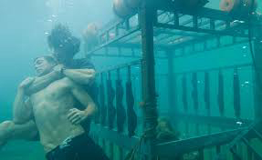 Banner Phim Shark Night 3D (Shark Night 3D)