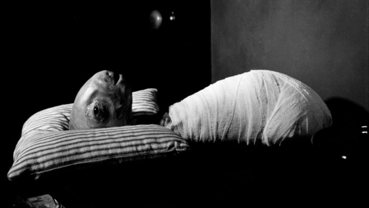 Banner Phim Tẩy Não (Eraserhead)