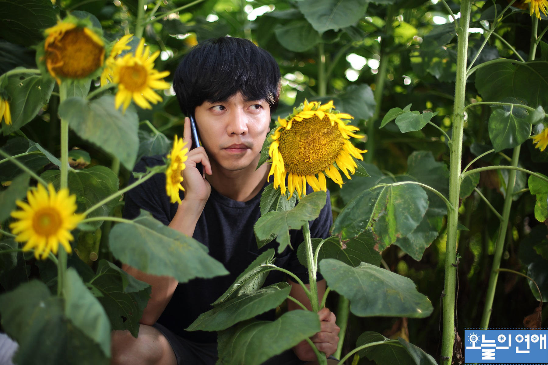 Banner Phim Yêu Phải Nàng Lắm Chiêu (Love Forecast)