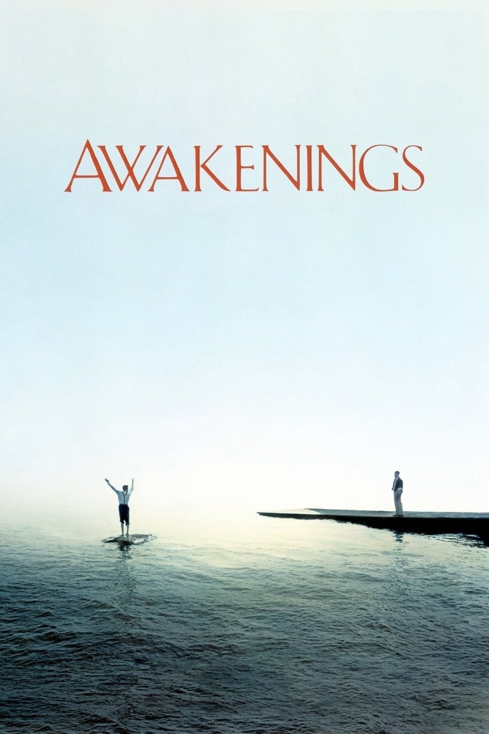 Poster Phim Awakenings (Awakenings)