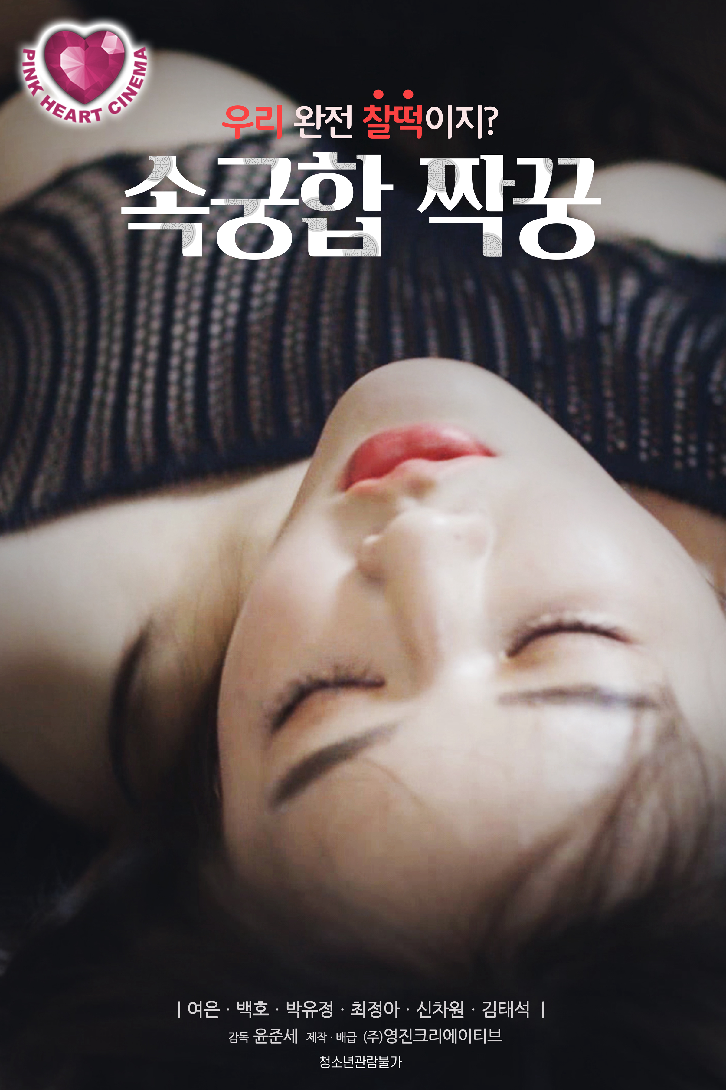 Poster Phim Bạn Tình Chớp Nhoáng (속궁합 짝꿍)