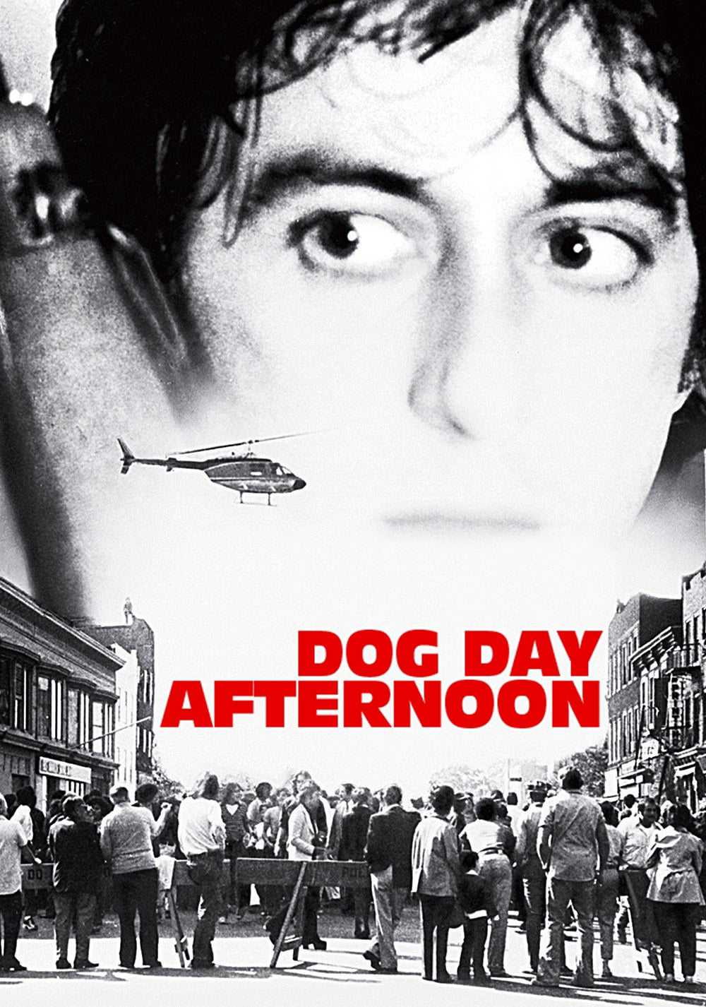 Xem Phim  Buổi Chiều Xui Xẻo (Dog Day Afternoon)