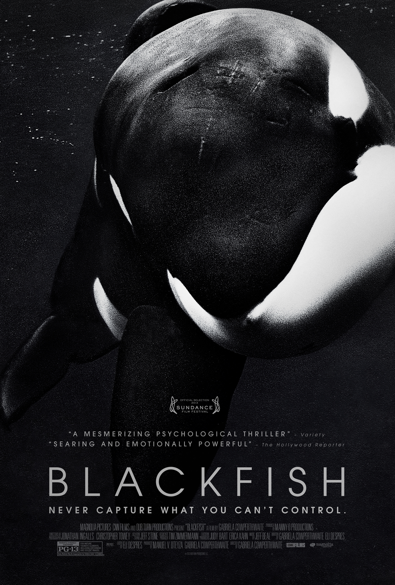 Xem Phim Cá đen (Blackfish)