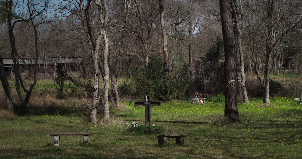 Xem Phim Cánh đồng chết Texas (Texas Killing Fields)