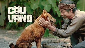 Xem Phim Cậu Vàng (The Old Man's Dog)