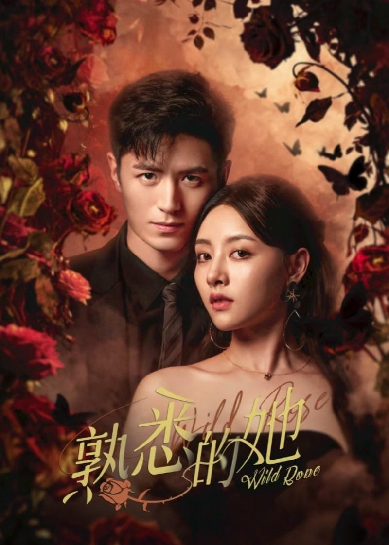 Poster Phim Cô Gái Thân Quen (Wild Rose)