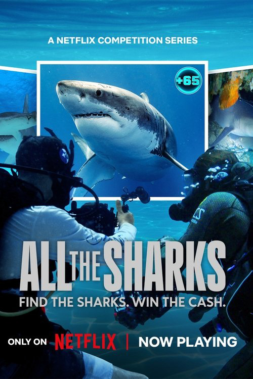 Xem Phim Đi tìm cá mập (All the Sharks)