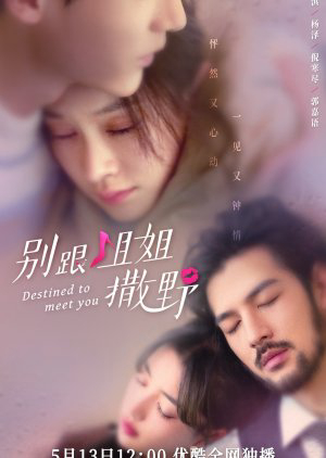 Xem Phim Đừng Nhờn Với Chị (Destined to Meet You)