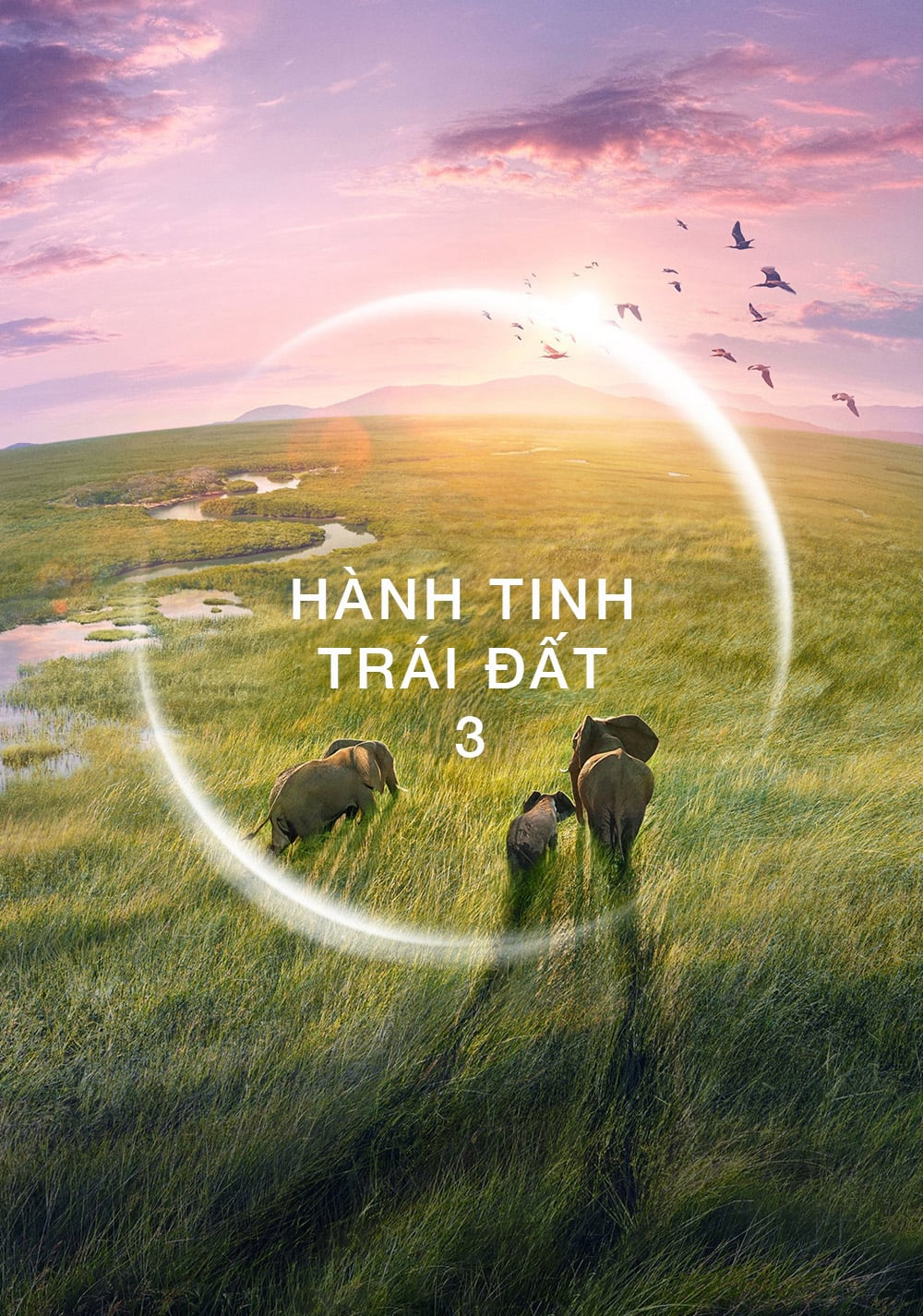 Poster Phim Hành Tinh Trái Đất 3 (Planet Earth III)