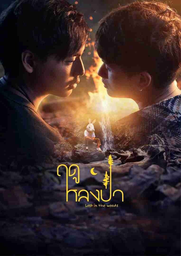 Xem Phim Mùa Lạc Trong Rừng (Lost in the Woods)