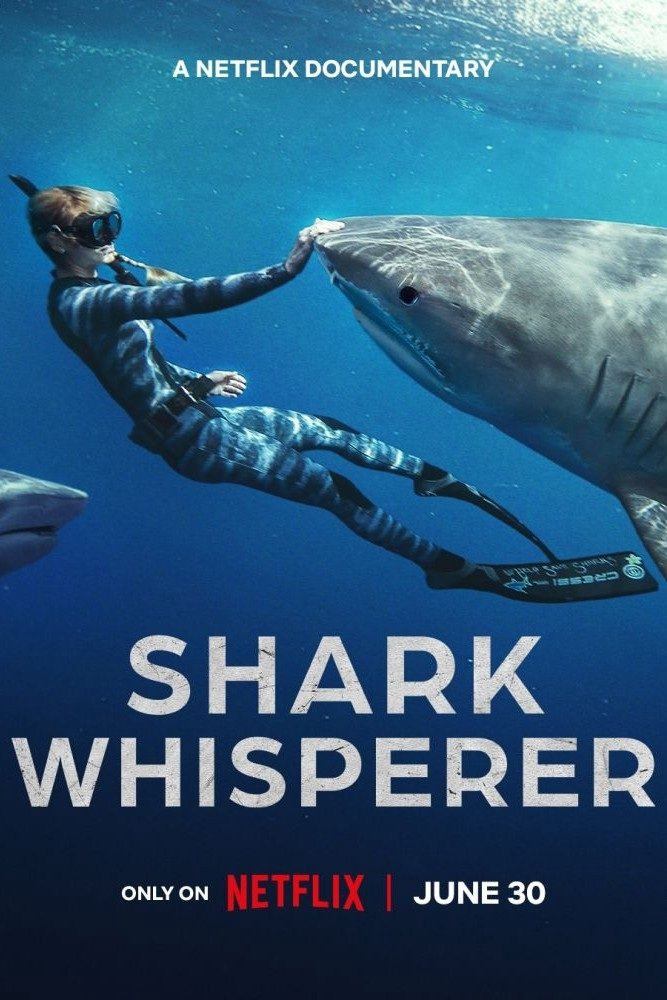 Xem Phim Người bạn của cá mập (Shark Whisperer)
