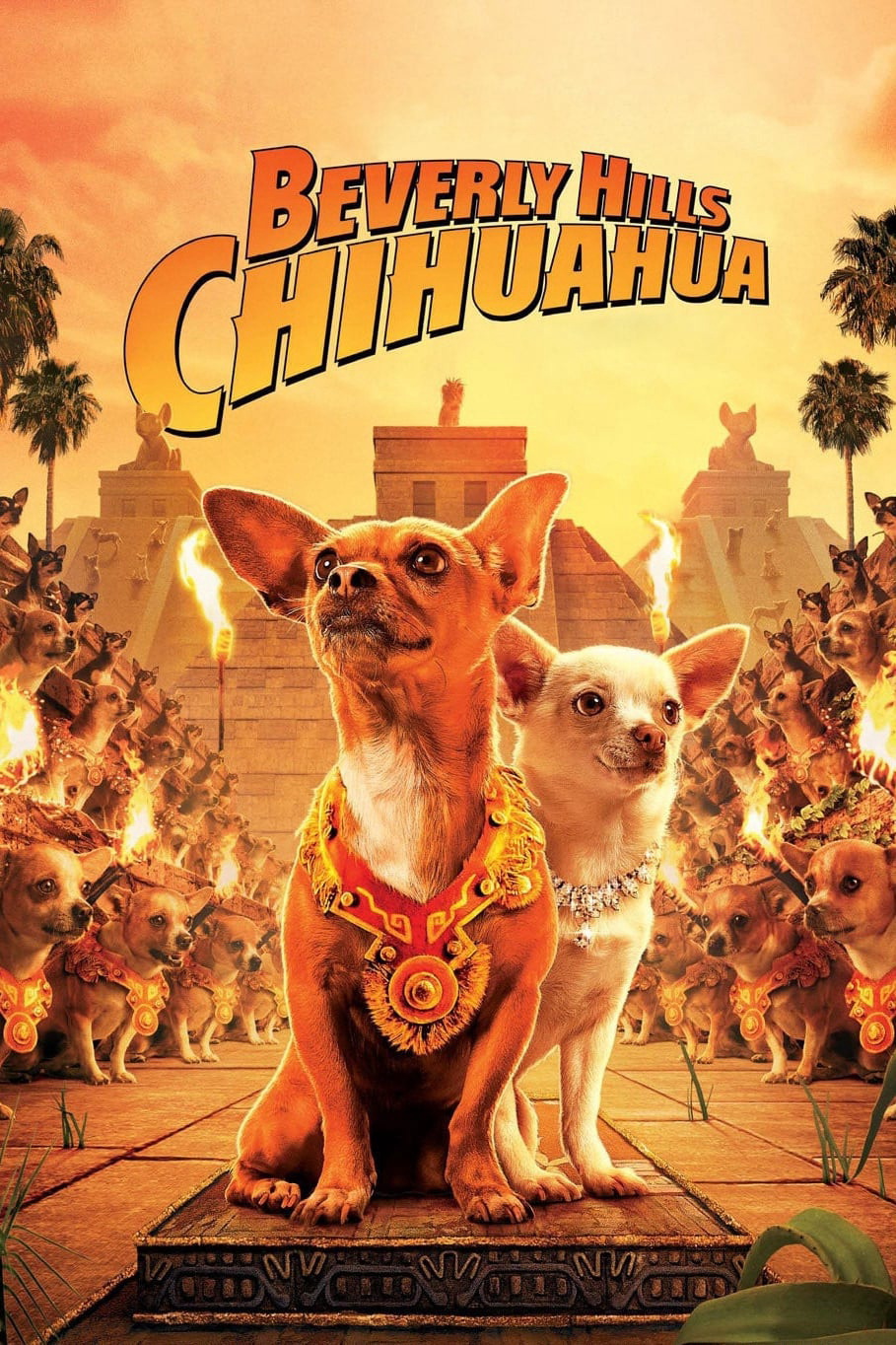 Xem Phim Những Chú Chó Chihuahua (Beverly Hills Chihuahua)
