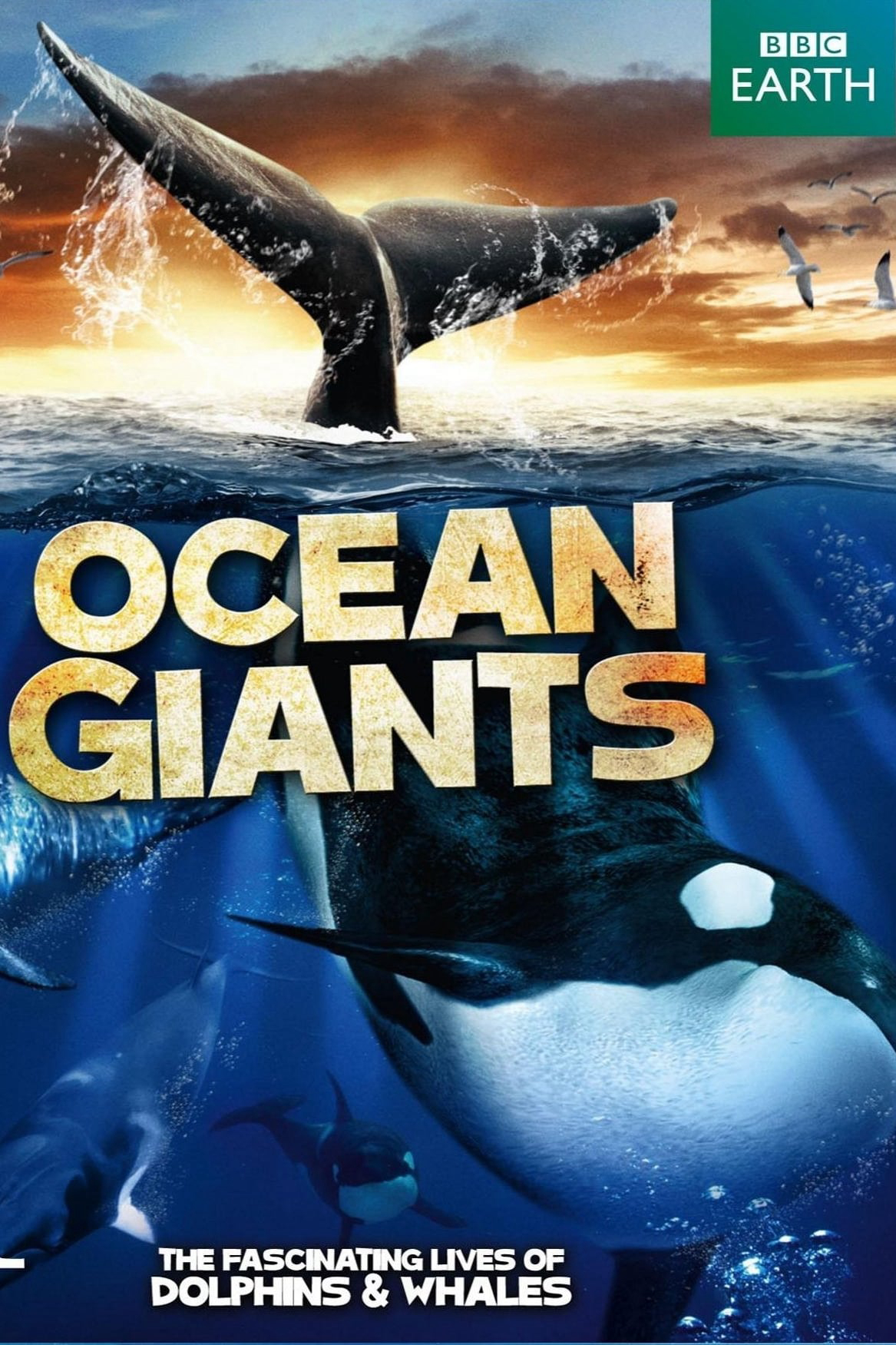 Xem Phim Ocean Giants (Ocean Giants)