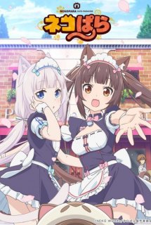 Xem Phim Nekopara (Neko Para, ネコぱら)