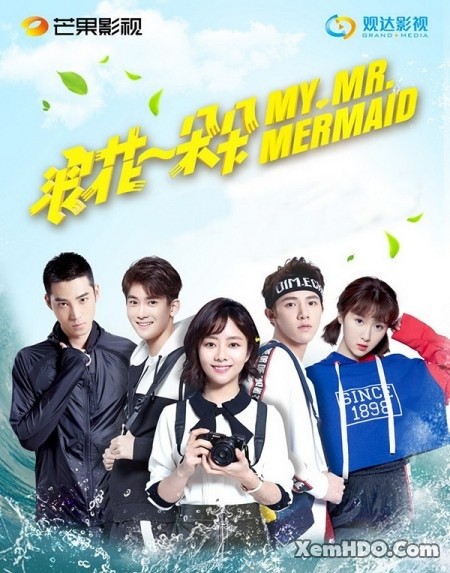 Xem Phim Từng Cơn Sóng Vỗ / Từng Đóa Bọt Sóng (My Mr. Mermaid)