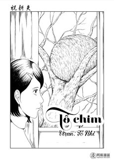 Đọc truyện Tổ Chim