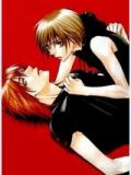 Đọc truyện Wild Kiss 